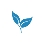 leaf icon