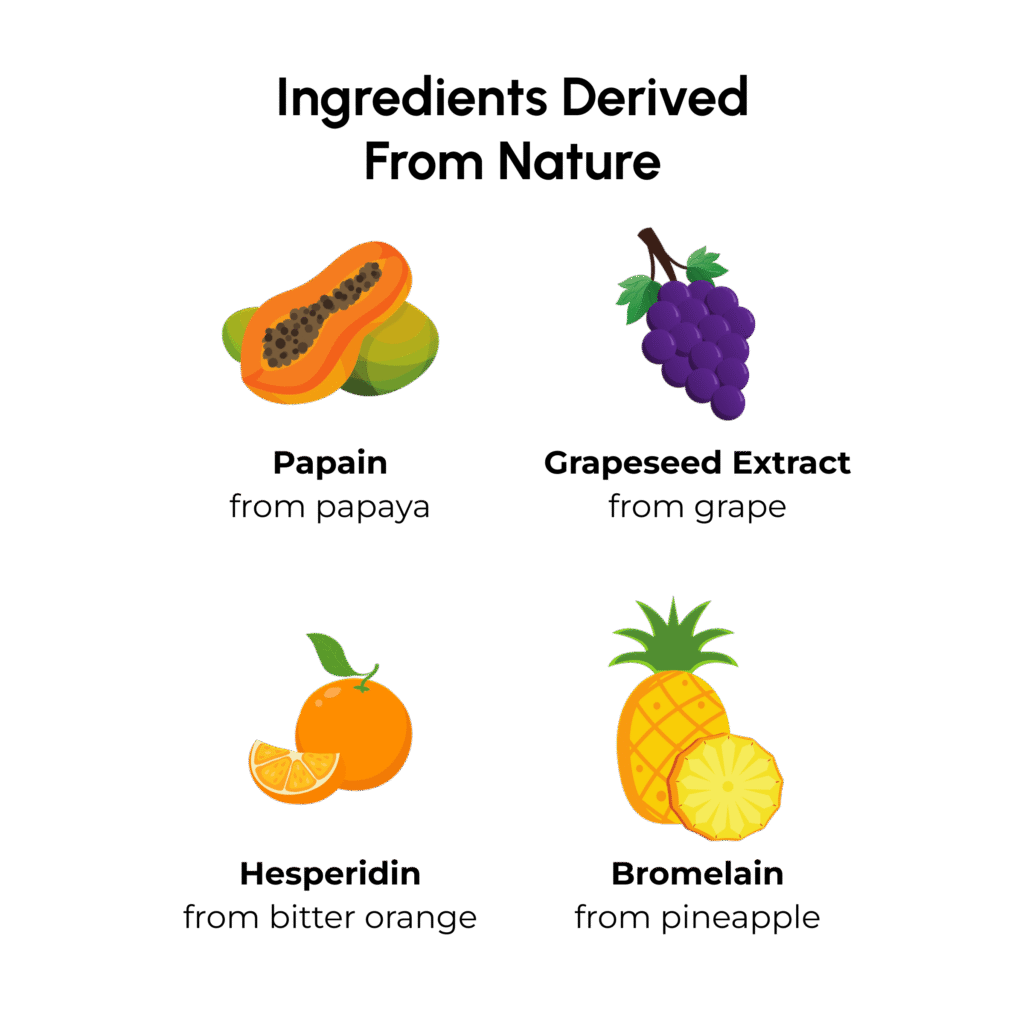 Header: Ingredients Derived from Nature. Shows illustration of fruit showing papain from papaya; grapeseed extract from grape; herperidin from bitter orange; and bromelain from pineapple