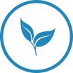 leaf icon